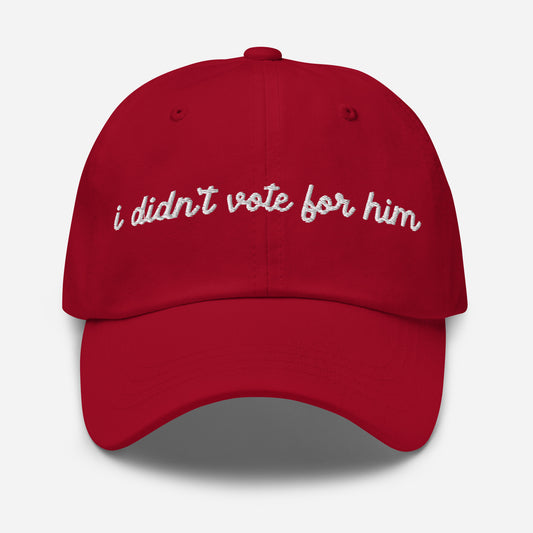 I didn't vote for him